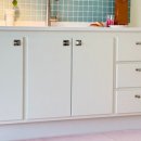 뽀송강아지 이미지