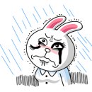 타이어 티스토어 이미지