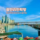 부산 광안리 숨은 명소 광안대교를 가까이서 볼 수 있는 민락항