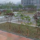 수질복원센터(새미래광장) Daum카페