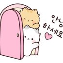 수억식자재 이미지