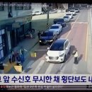 가흥초등학교 정문 이미지