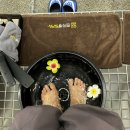 알로하제주 | 서귀포주변마사지 추천 스파브릭스 서귀포본점 아로마테라피후기
