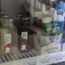 도그마캣대구