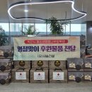 (유)세솔건설 투데이안