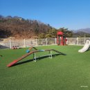 북면315 | 가평 대형견 가능 애견동반펜션 10곳 비교하기 - 봄에 가