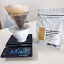 구지로L 이미지