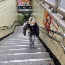 해연농장 | 도연집감 + 파묘봄