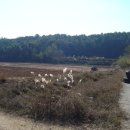 춘천농장 이미지