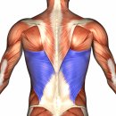 BODY MAKER 이미지