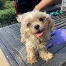 화성면사무소 이미지