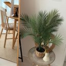 비엔비 | 광진구 군자 가성비 숙소 에어비엔비 솔직후기｜아차산역 도보 3분, 주차 가능