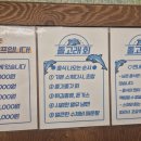 돌고래회
