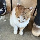 홍인펜션 이미지