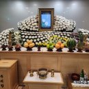 보금상조