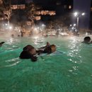 평화목장2 이미지