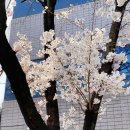 도원고등학교앞 이미지