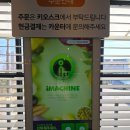 김밥킹 울진북면점 | [울진/북면] 김밥킹에서 건강한 김밥 냠