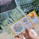 스테디 비트로드 (9/28차) 영통 후기