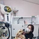 뷰티 몽 이미지