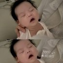 이지드리밍 수면교육 그룹 컨설팅 후기, 꿀잠챌린지 - 백일의 기적