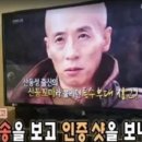 서프라이즈 이미지