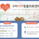 석적동물병원
