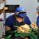 시크릿성형외과의원 이미지