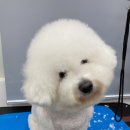 팡앤뭉치 이미지