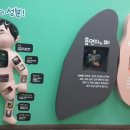 건강놀이터 이미지