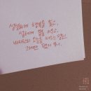 자주마리 이미지