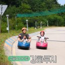 루지앤라운지 | 강화루지 할인 예약 케이블카 아이랑 가볼만한곳