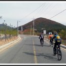 영천중앙초등학교화남분교 이미지