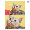 없음 - 66040 | 없음