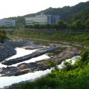 탄동천1 이미지