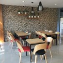 빅트리(Bigtree) 이미지