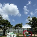 경남 실내 아이와 가볼만한 곳 곤충 직접 만질 수 있는 창녕 생태 곤충원 곤충박물관 체험 후기
