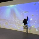 이마트24 일산식사점 | 일산 대형 키즈카페 초등 아이와 실내놀이터