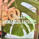 사리슈즈