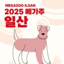 케이메가