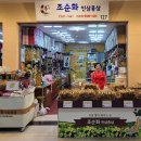조순화인삼