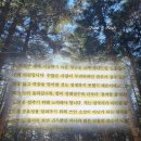 한국사로 만나는 슈퍼 영웅 | 최소한의 삼국지 책 후기 최태성 | 파리떼의 찬사와 멈출 줄 아는 용기 사이에서 추천 리뷰 핵심 요약