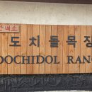 백양목장 네이버블로그