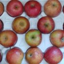 하이크린 이미지