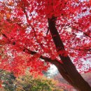 귀한사람들 이미지