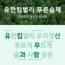 푸르게