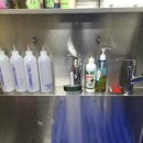 올리브독 이미지