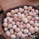 임계중앙교회 이미지