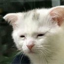 떡볶당나주