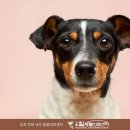 청산동물병원 이미지